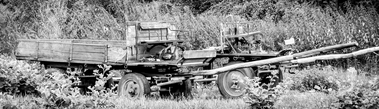 Image - cart horse drawn carriage vehicle