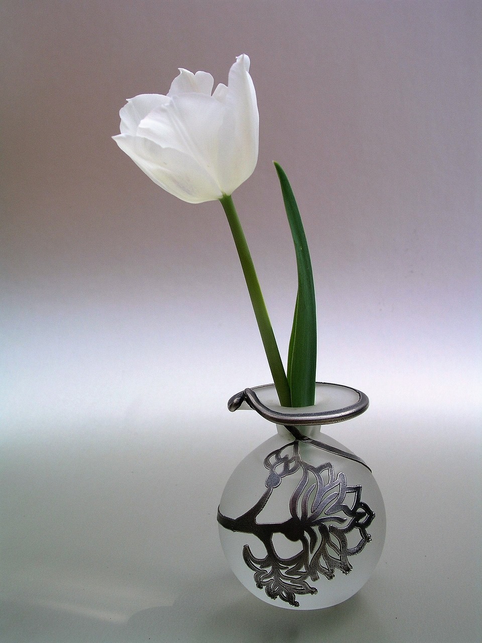 Image - sympathy vase flower tulip