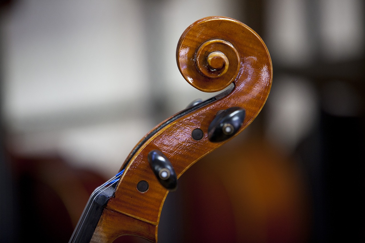 Image - violin music instrument ensemble
