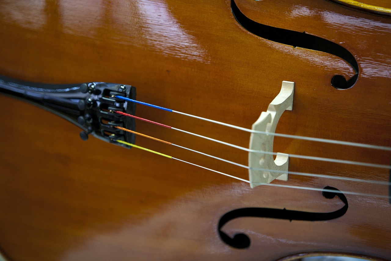 Image - violin music instrument ensemble