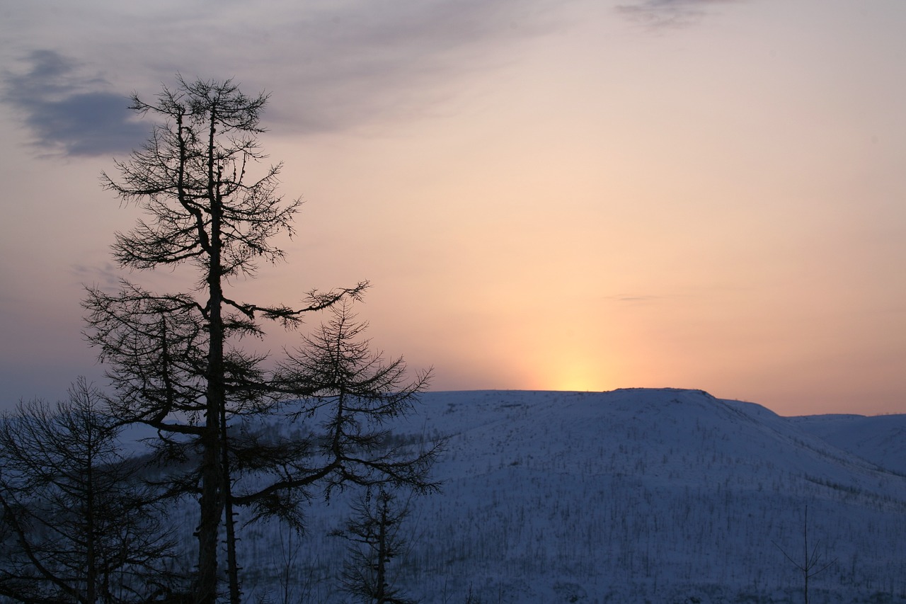 Image - sunset mountains larch winter