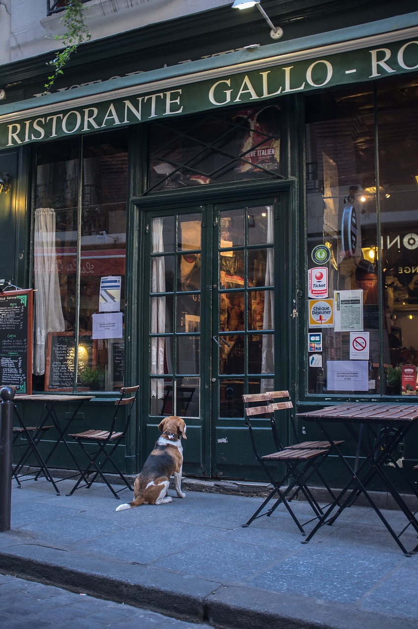 Image - french restaurant brewery paris