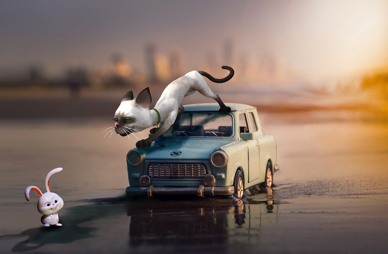 Image - cat hare prey hunt hunting