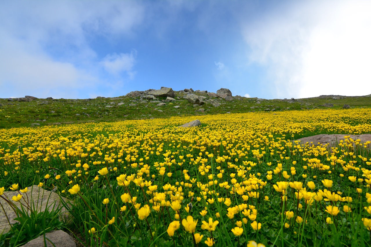 Image - turkey nature landscape kaçkars