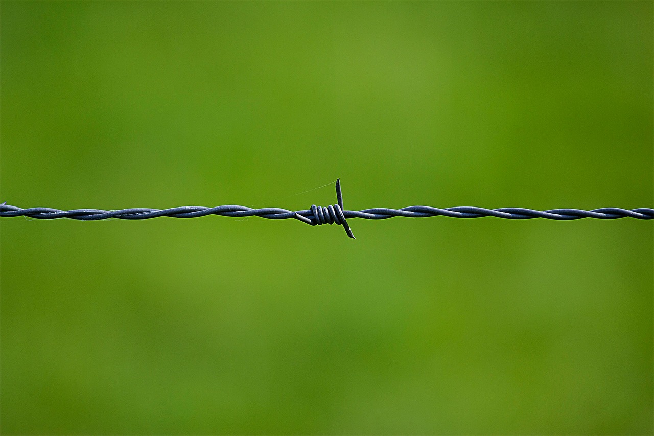 Image - barbed wire wire security thorn