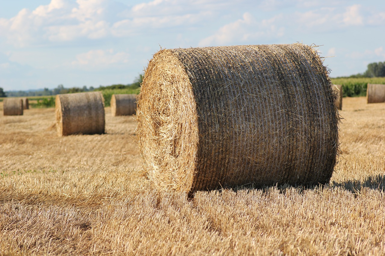 Image - straw bale 1000 kg agriculture