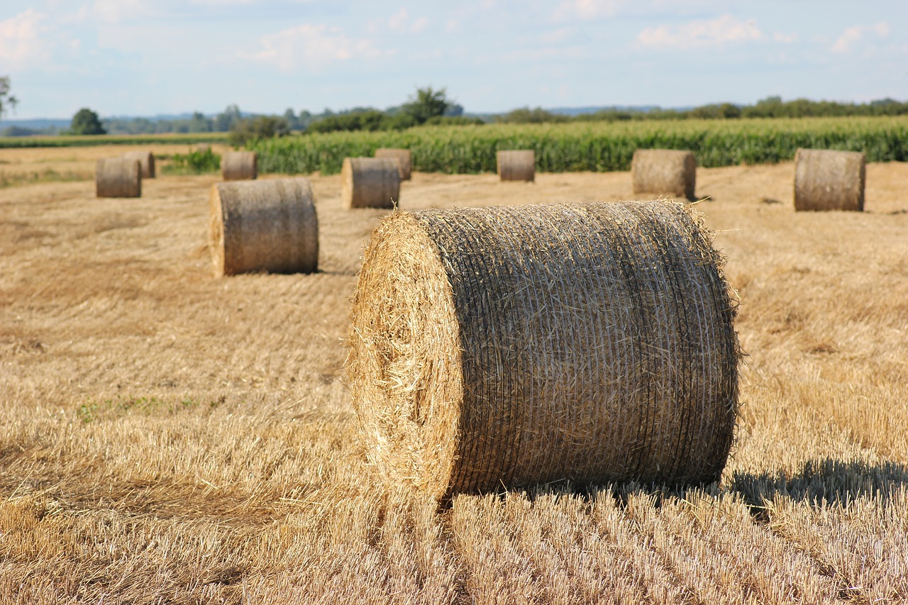 Image - straw bale 1000 kg agriculture food