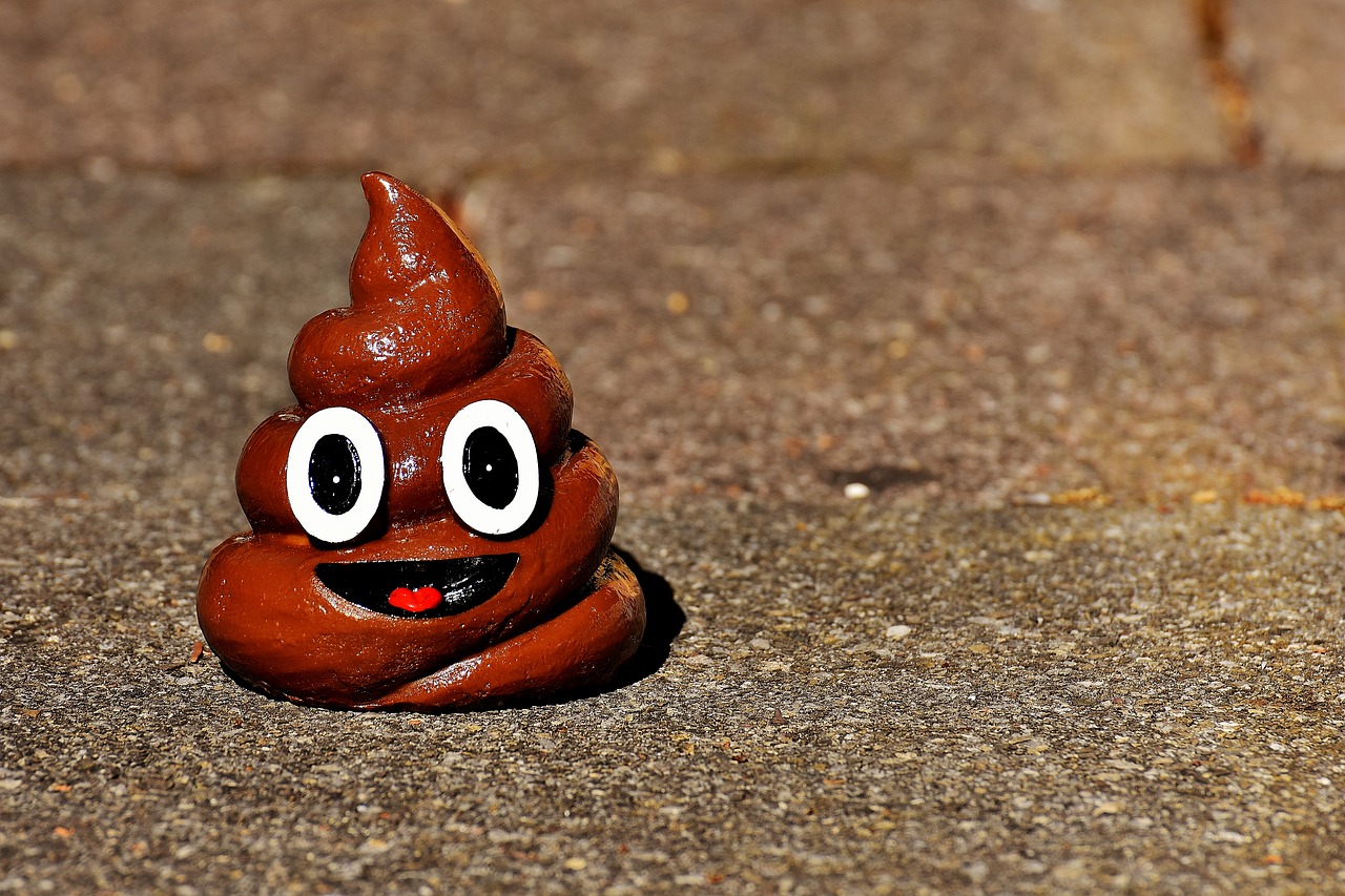 Image - kot hundehaufen funny poop