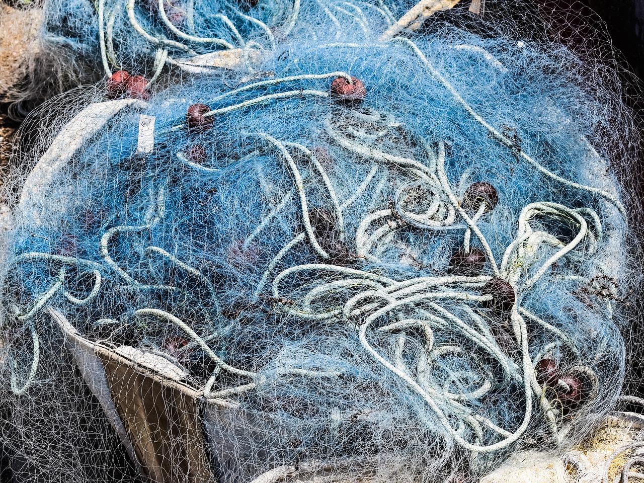 Image - net fishing fishing net equipment