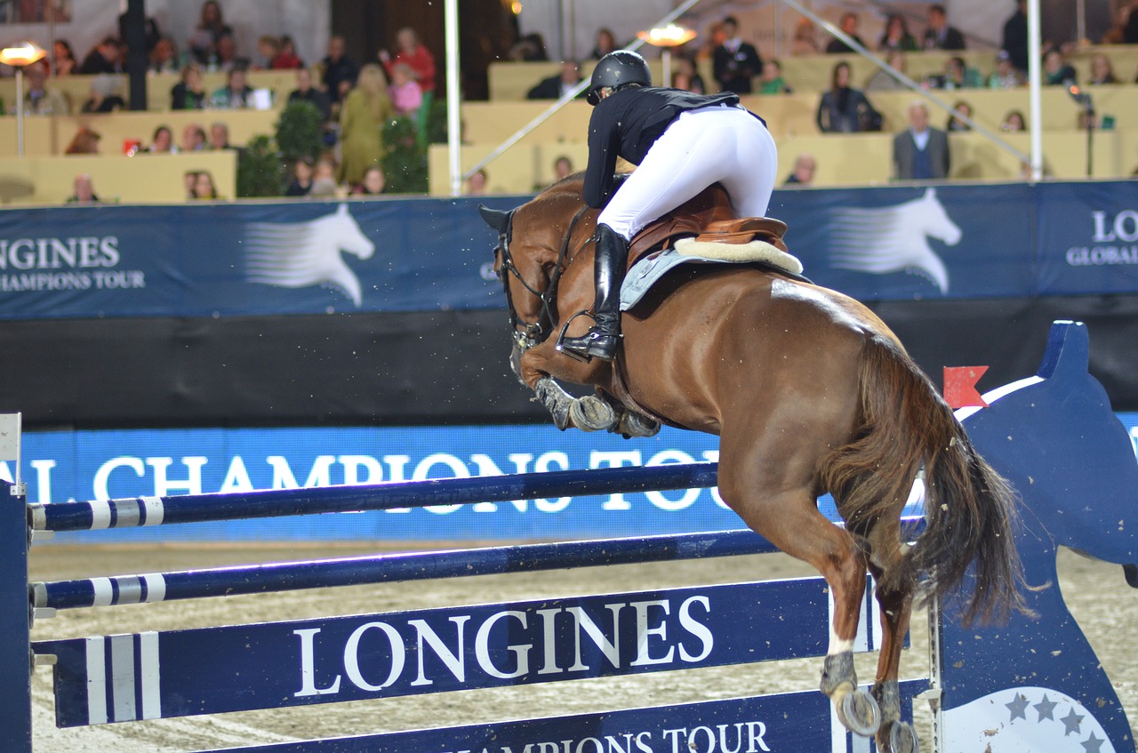 Image - show jumping horse equestrian jump