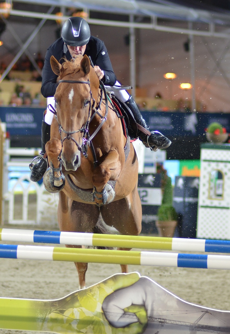 Image - obstacle show jumping