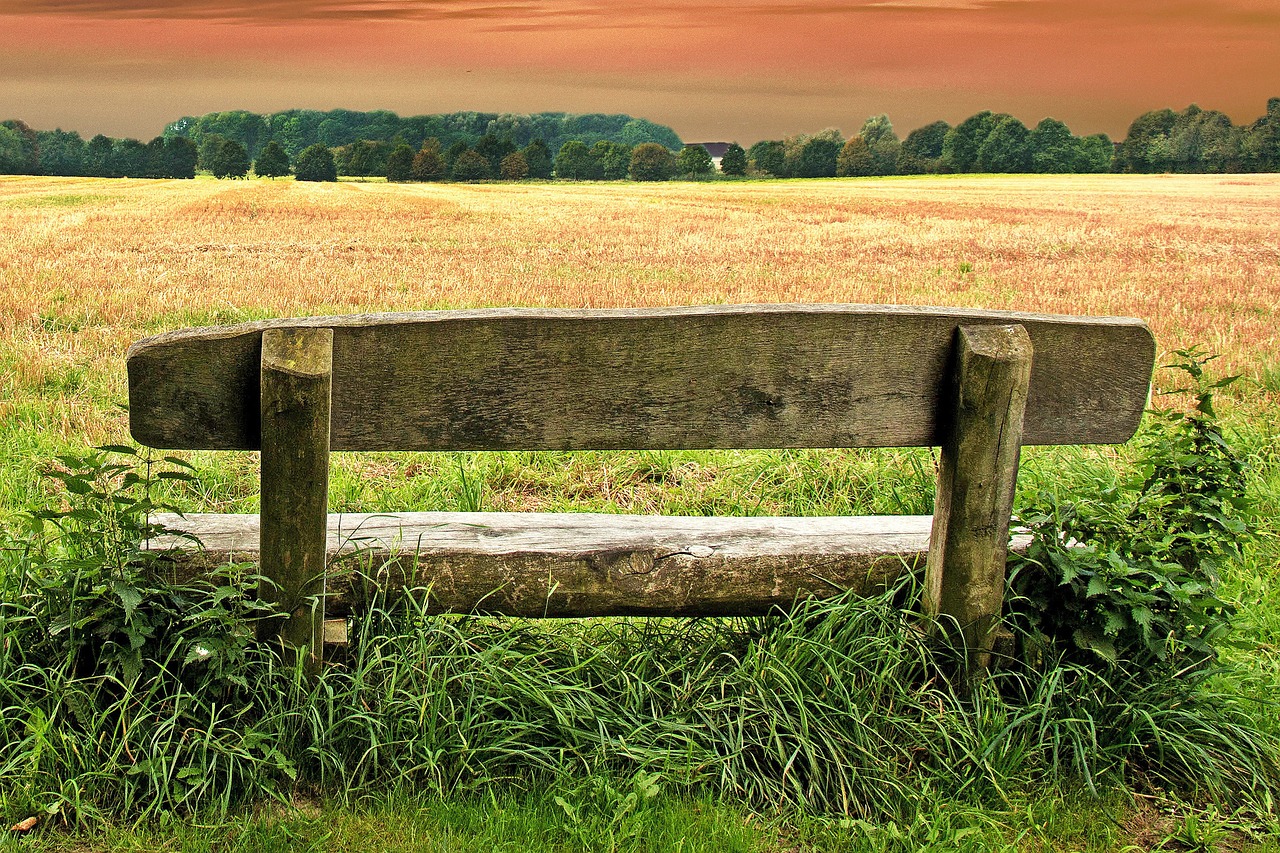 Image - bank meadow park forest sky