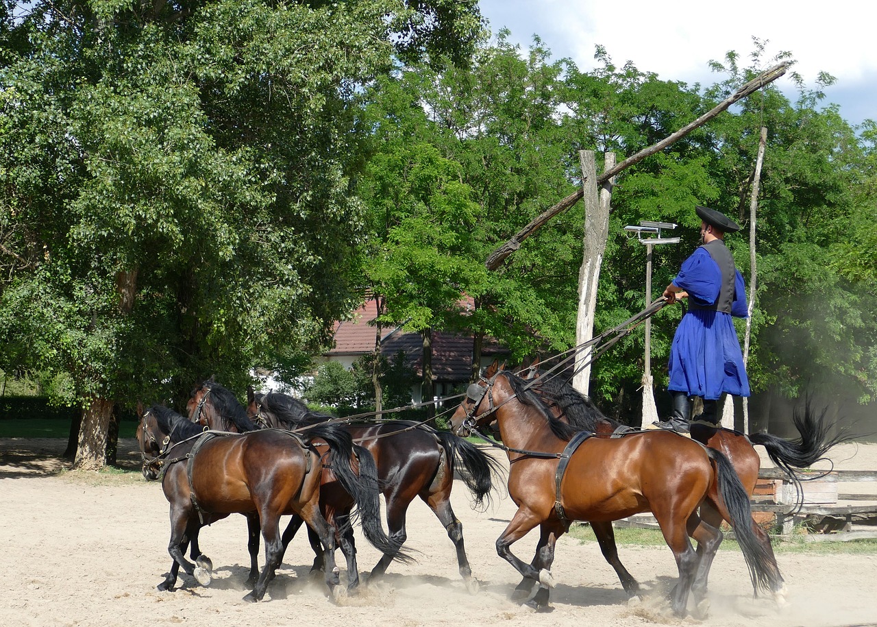 Image - puszta hungary tourism horses