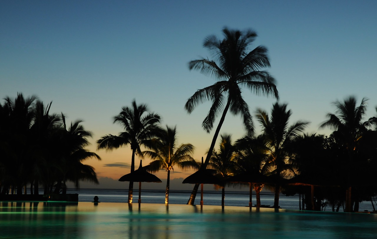 Image - trees holidays paradise maldives