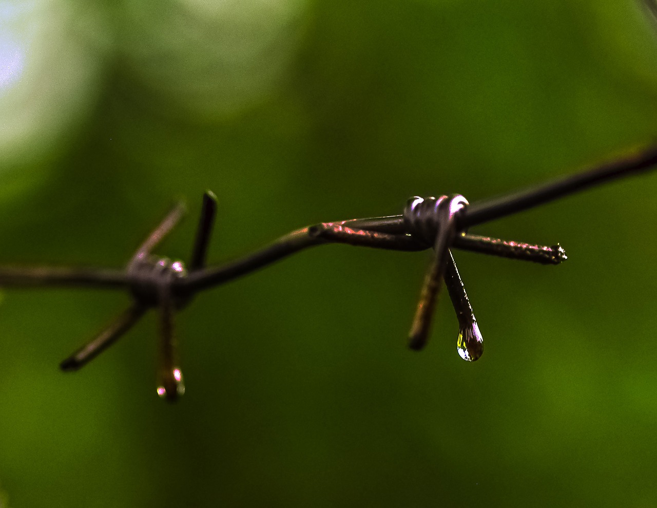 Image - the kalyuchku drop wire spikes