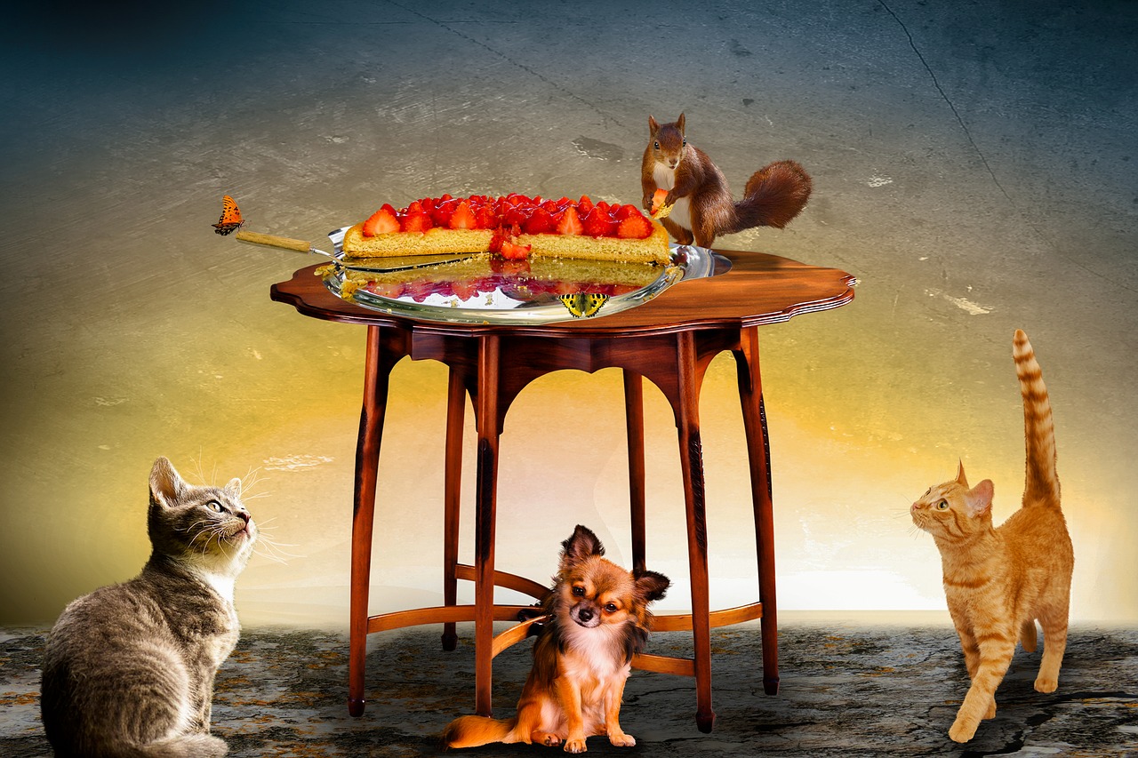 Image - animals composing cat dog squirrel