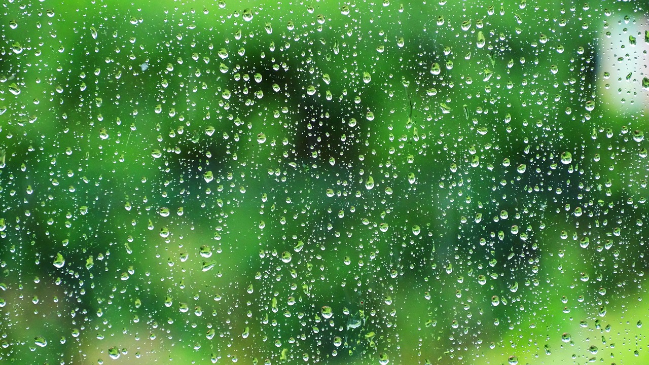 Image - water rain raindrop wet nature