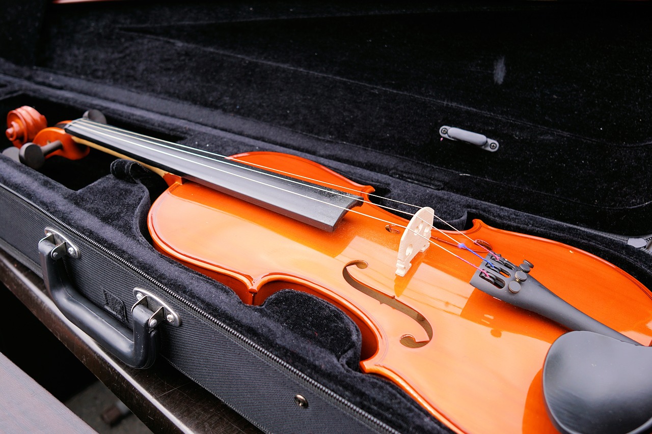 Image - violin stringed instrument