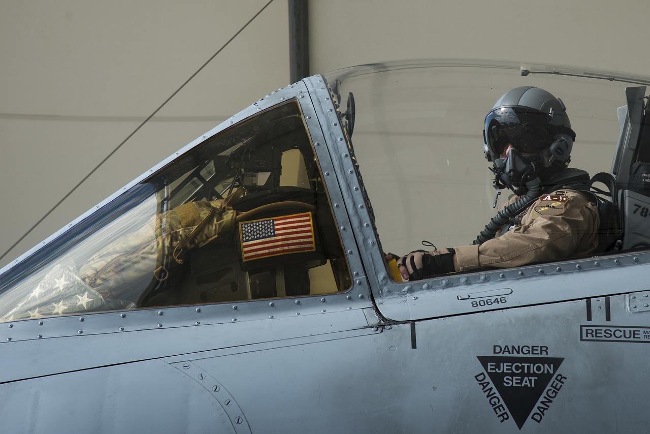 Image - pilot a 10 warthog thunderbolt