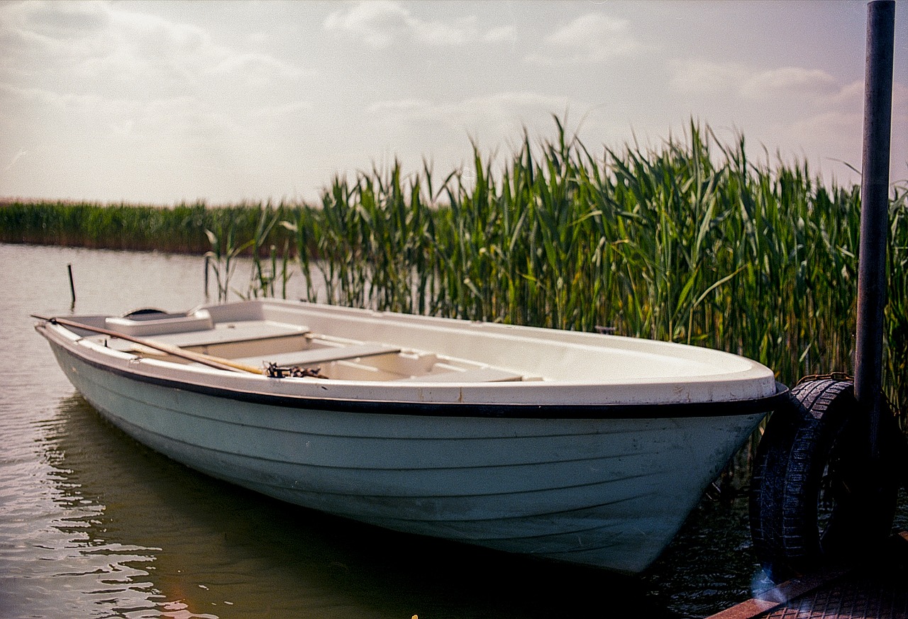 Image - boat lake green reed water