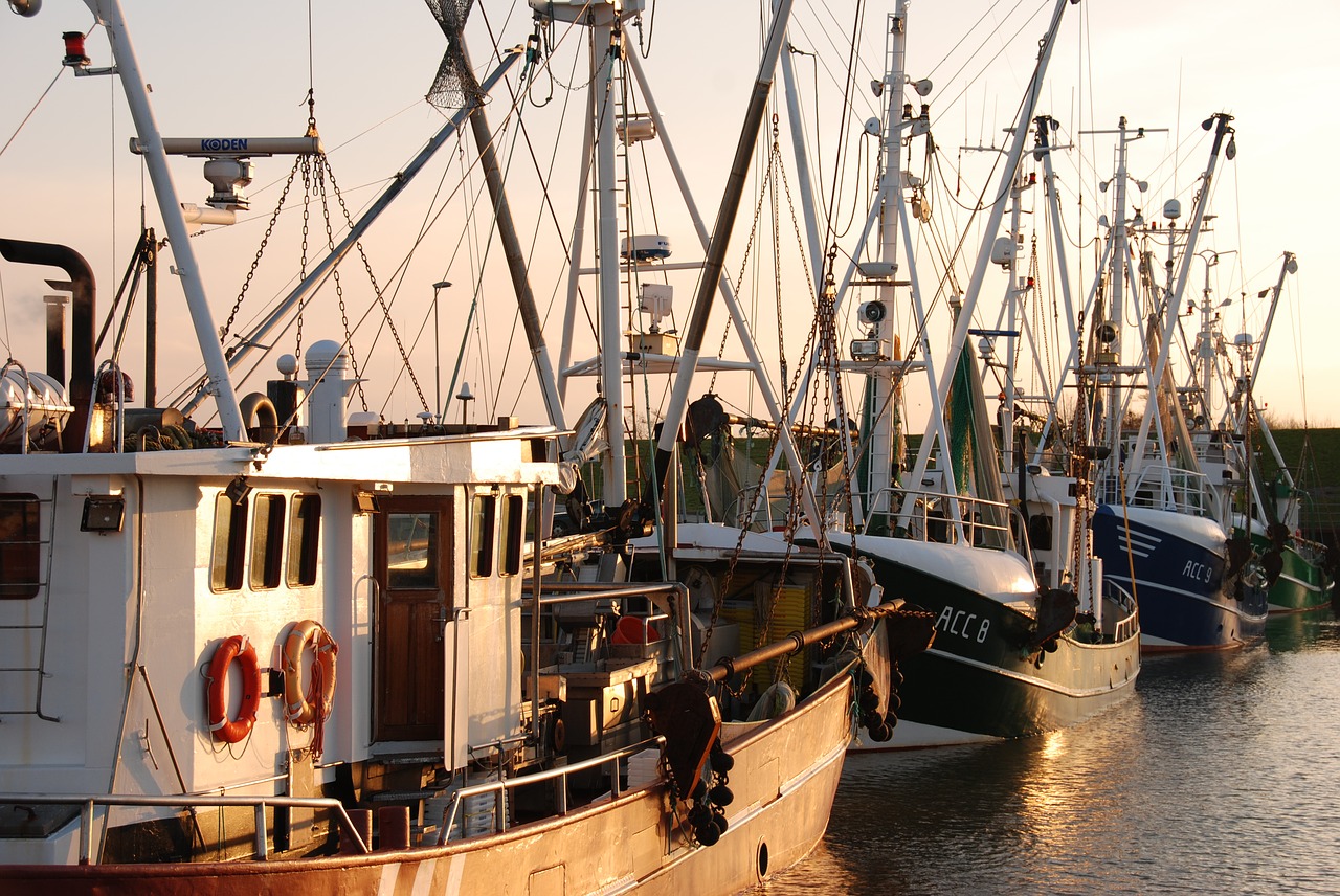 Image - port cutter evening dornumersiel