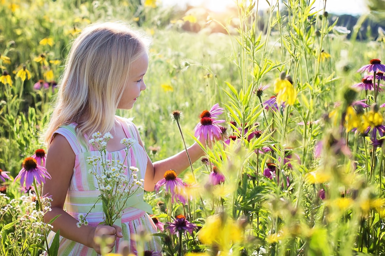 Image - little girl wildflowers meadow