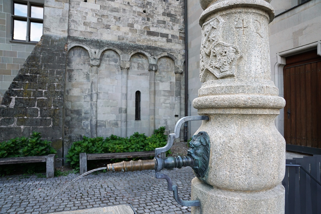 Image - fountain water bad fraumünster