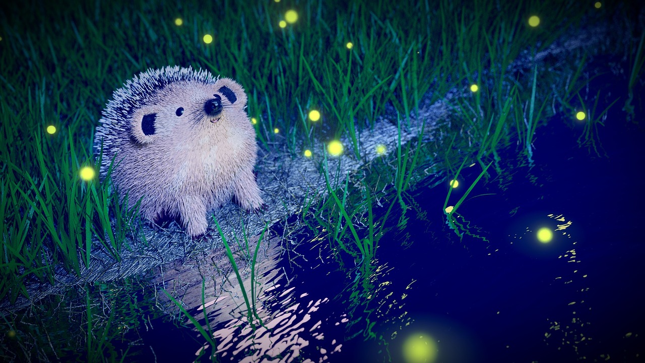 Image - hedgehog night firefly river