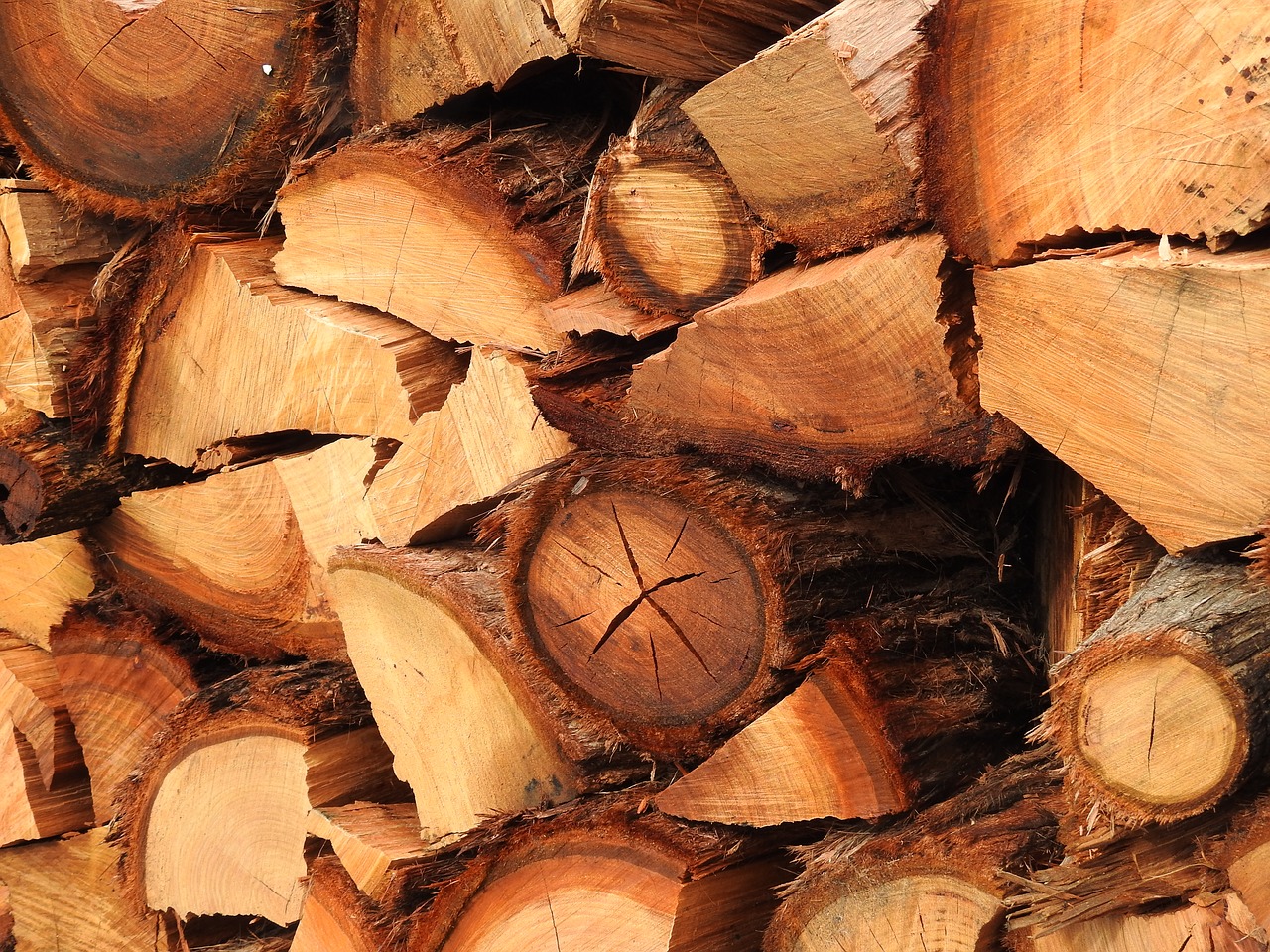 Image - wood firewood wood stack background