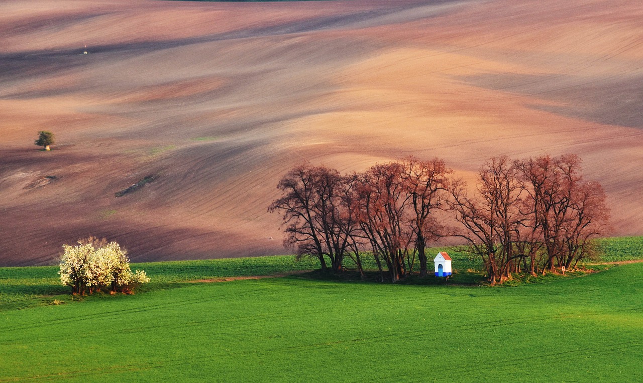 Image - field chapel spring