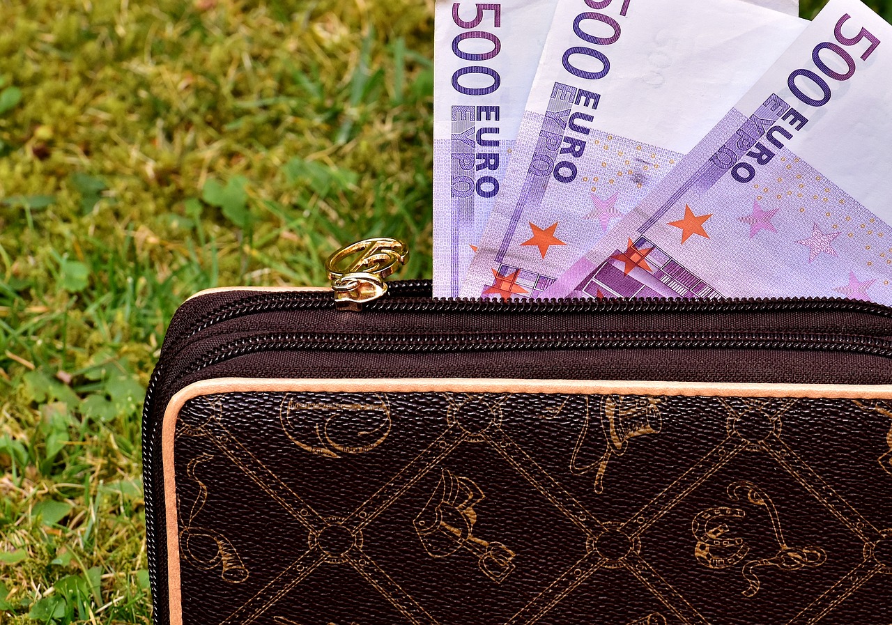 Image - purse seem bank note 500 euro