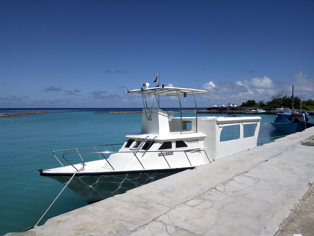 Image - boad speedboat thoddoo maldives