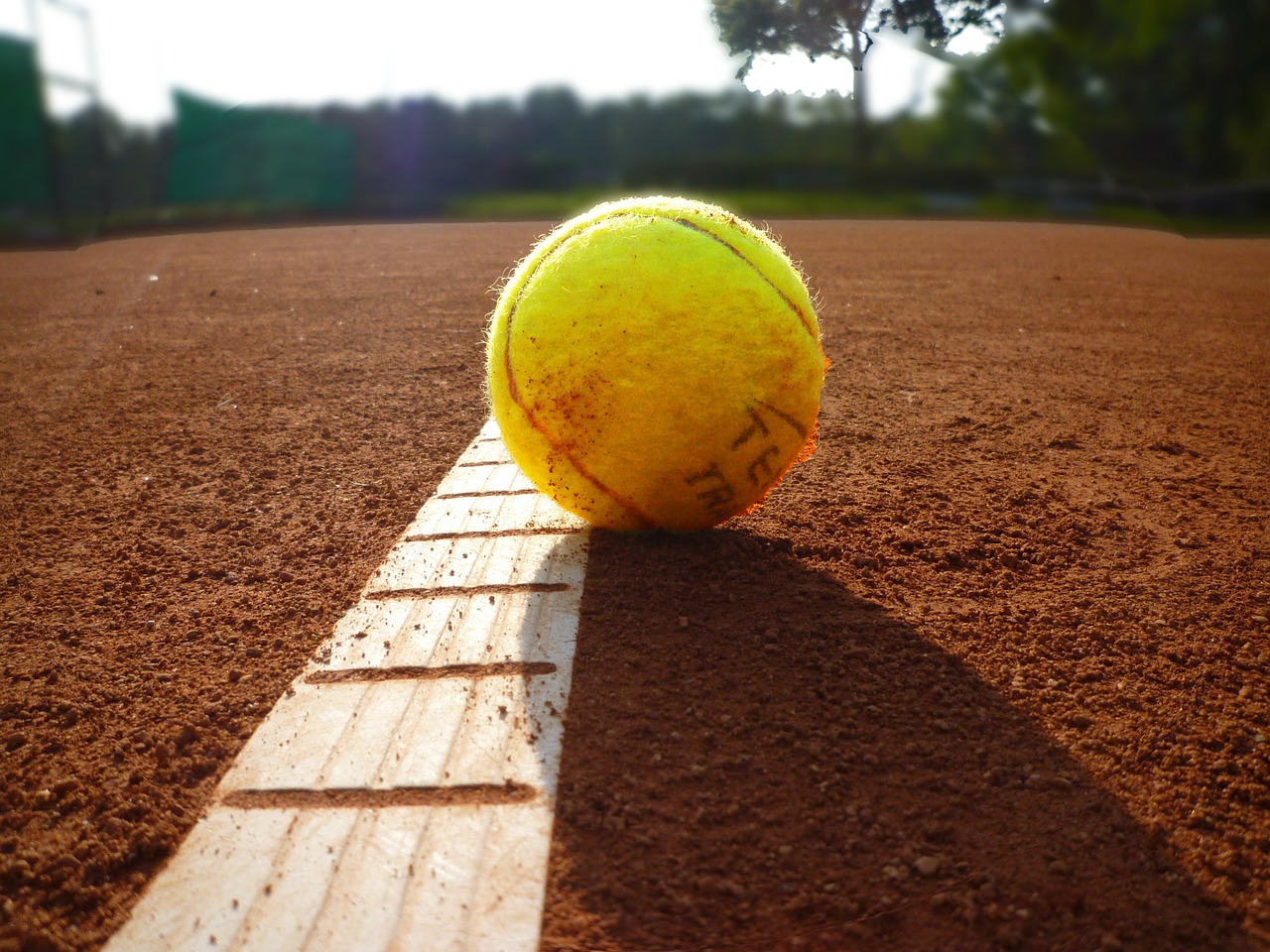 Image - tennis ball competition sports