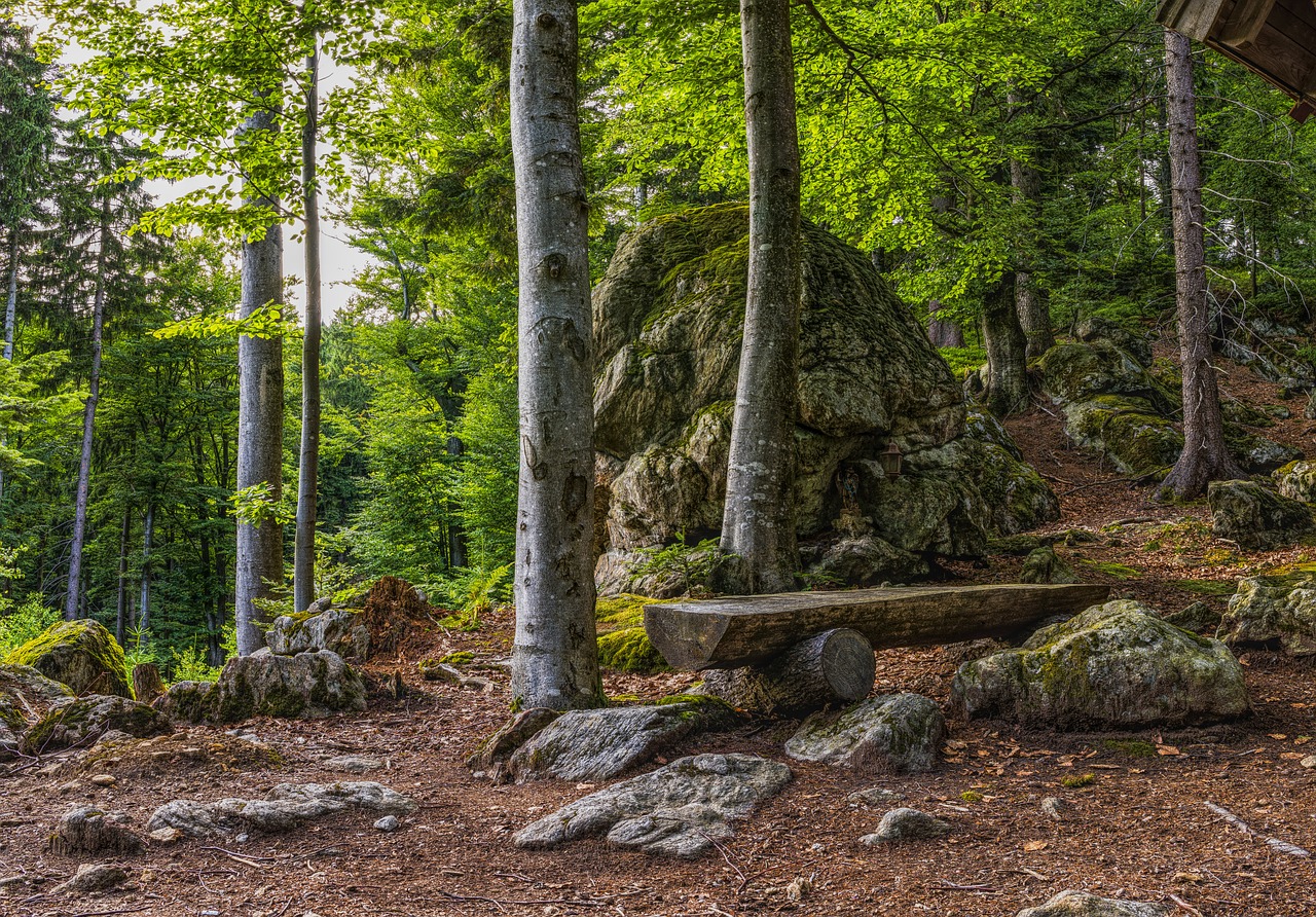 Image - bavarian forest bank hiking rest