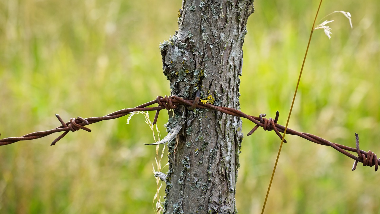 Image - barbed wire wire metal demarcation