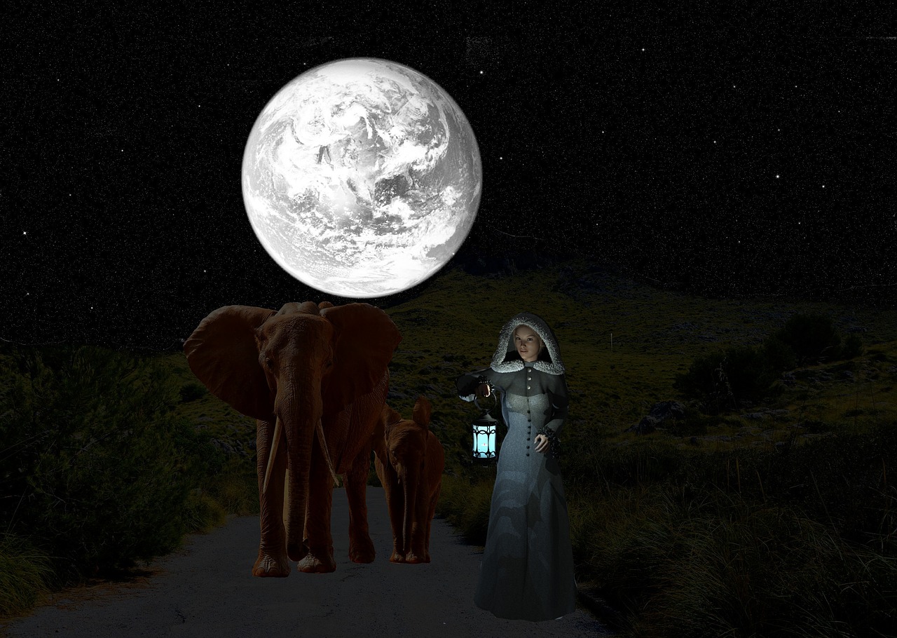 Image - good evening elephant woman fantasy