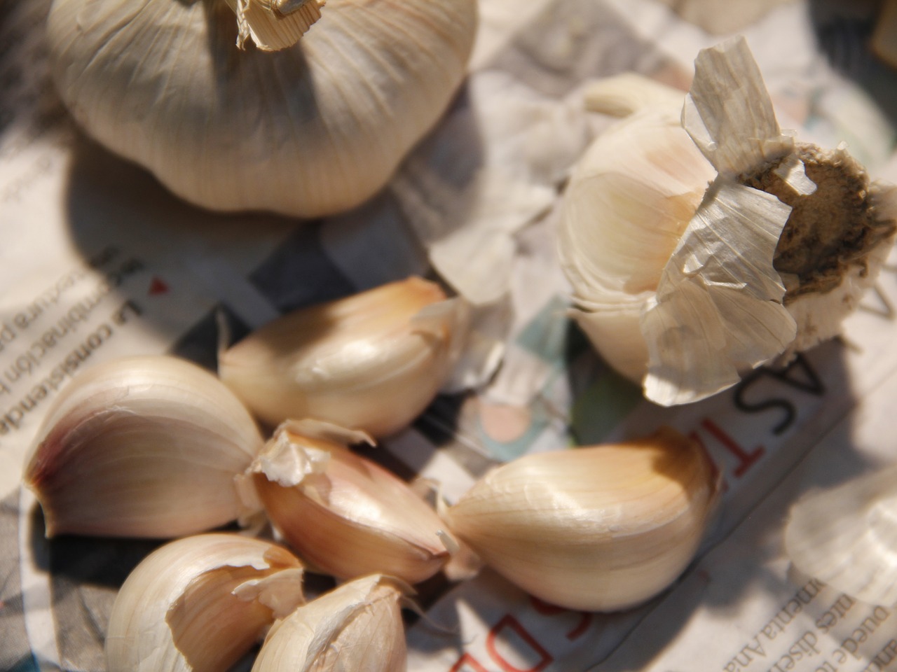 Image - garlic food vegetables dish