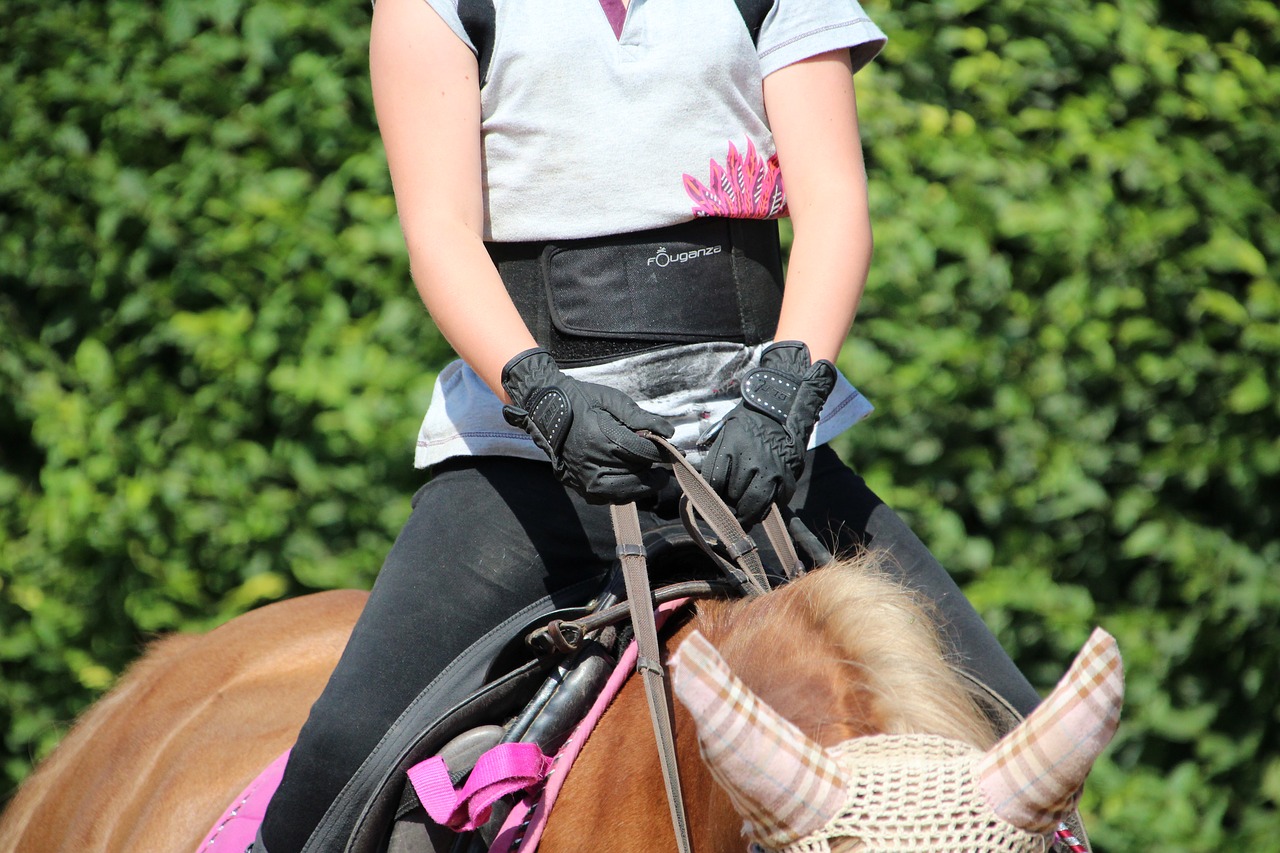 Image - horse ride reins saddle