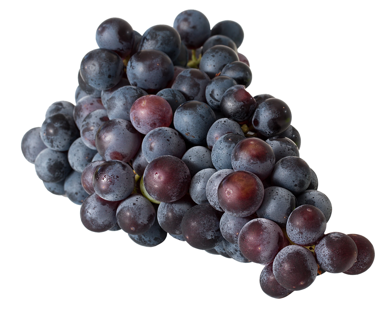 Image - grapes red wine fruit vine sweet