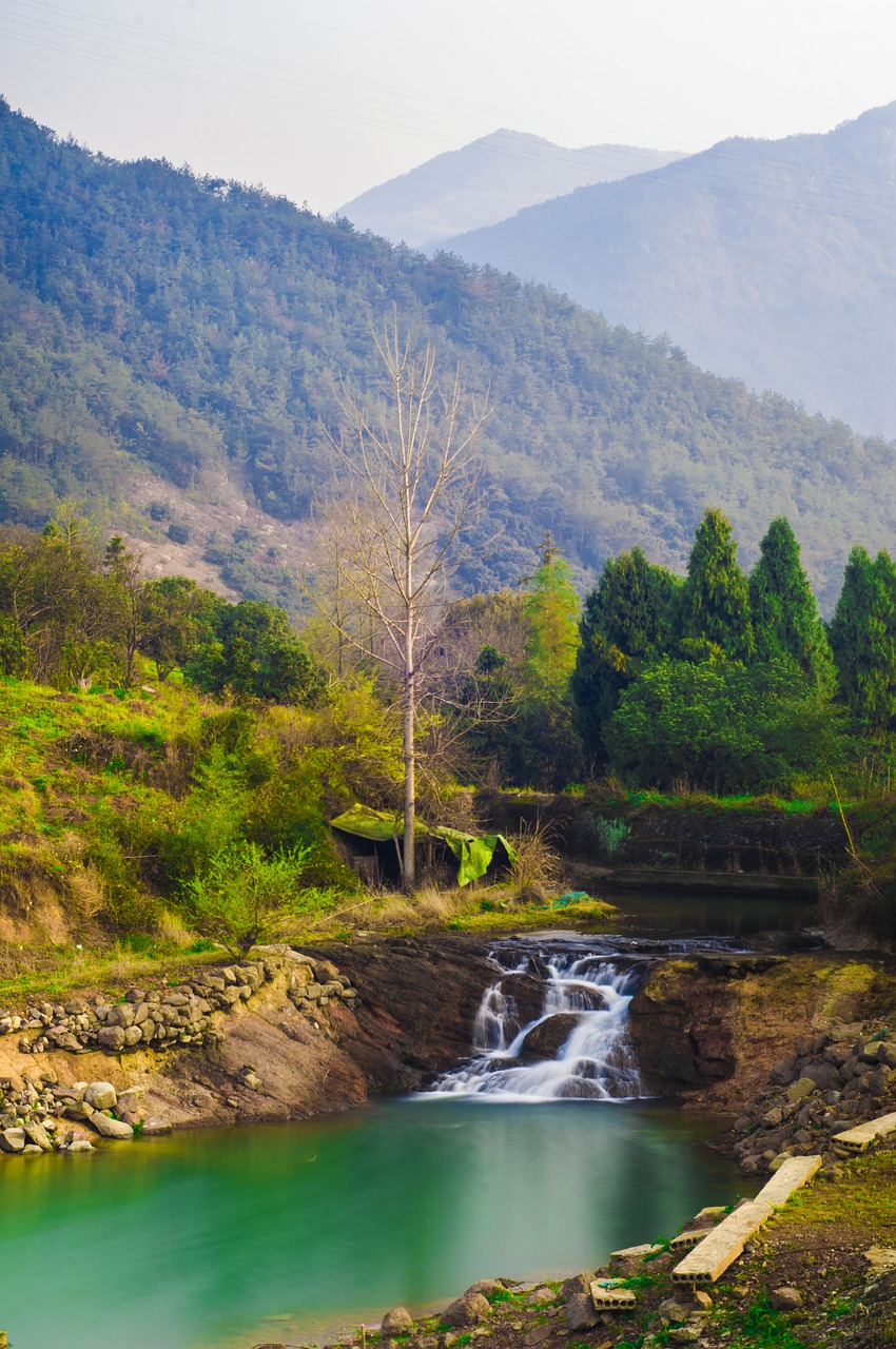 Image - 风景 自然 壁纸 树 清新 水