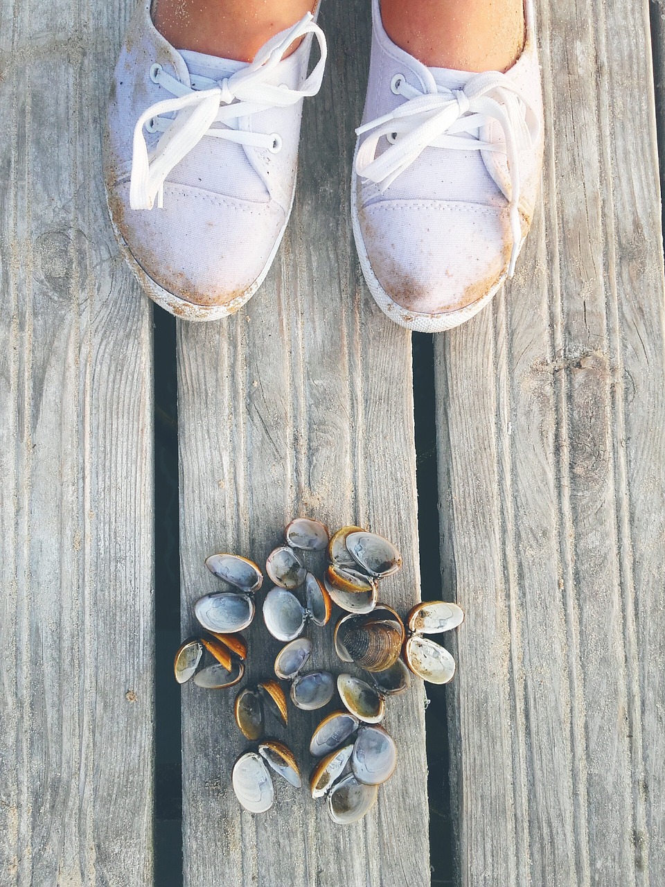 Image - shells bridge shoes travel