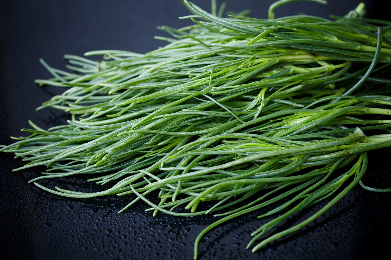 Image - saltwort barba di frate agretti