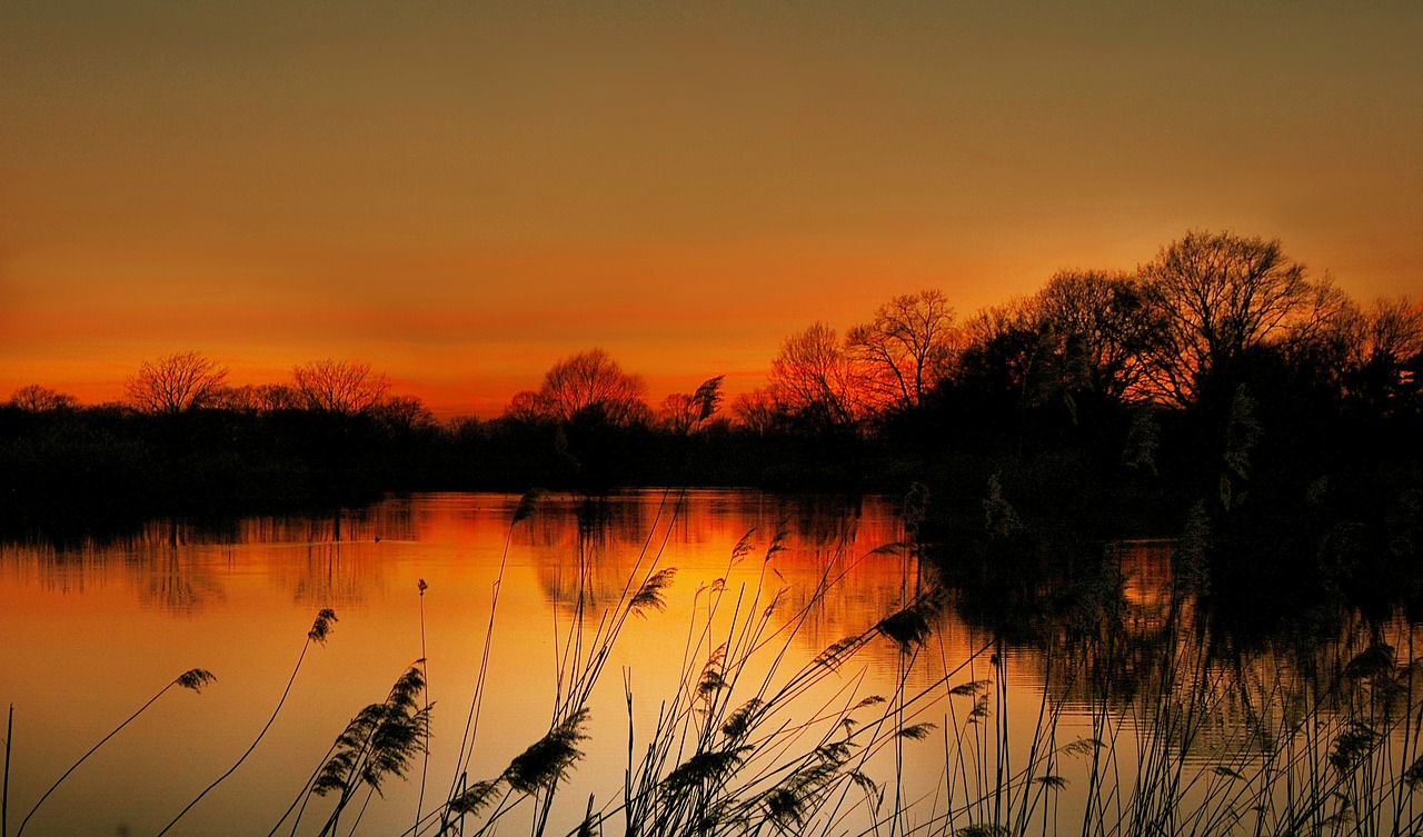 Image - lake sun evening sunset nature