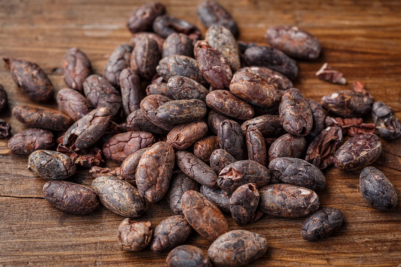 Image - cacao bean cocoa bean cocoa