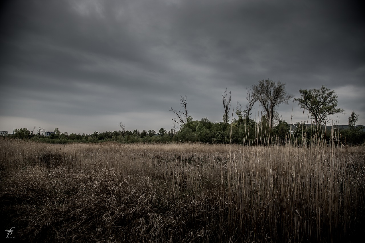 Image - nature lake photography slovakia