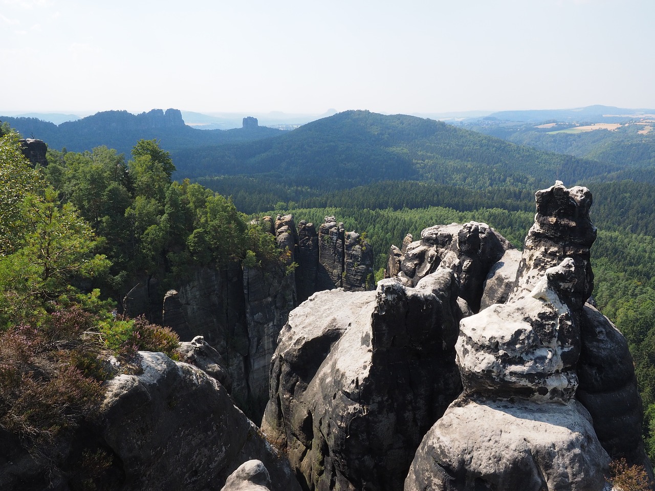 Image - elbe sandstone long horn