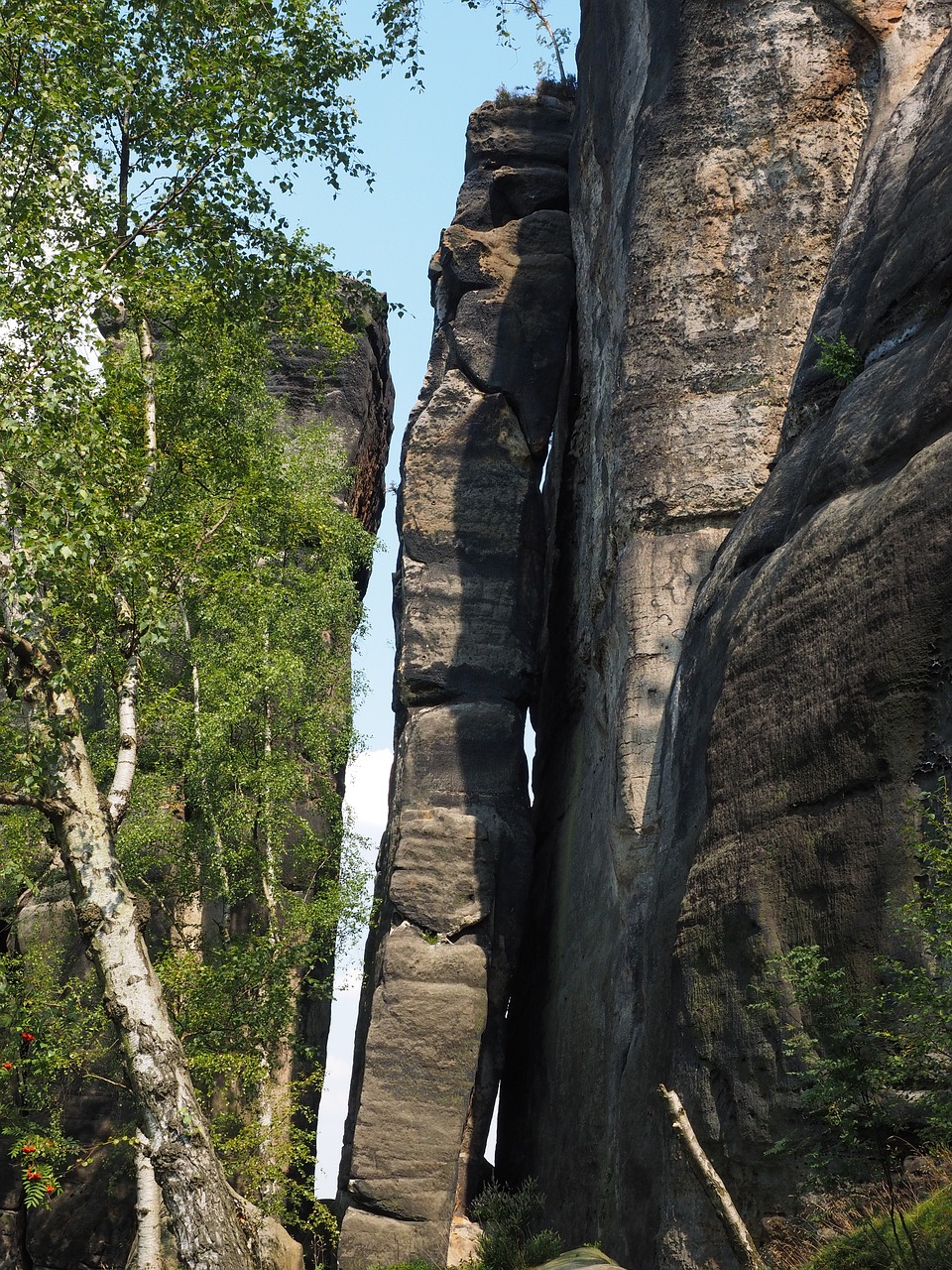 Image - frienstein guardian frienstein