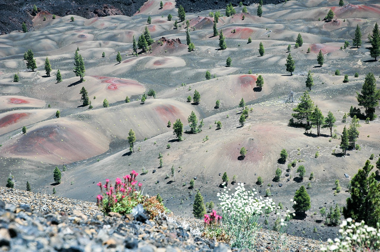 Image - painted dunes lassen national park