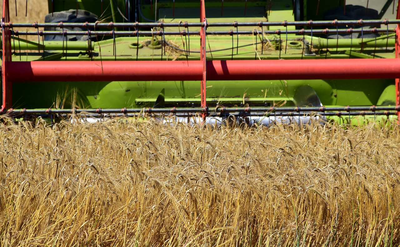 Image - harvest grain harvest agriculture