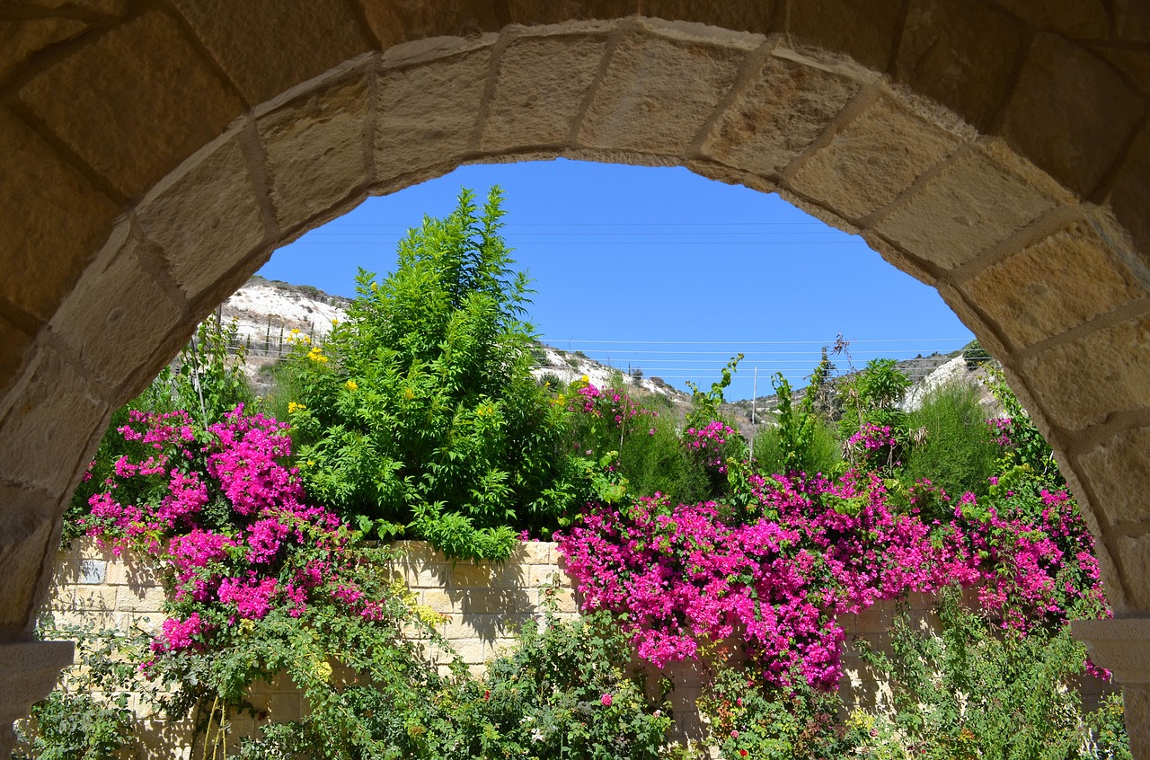 Image - stone wall flowers blue sky